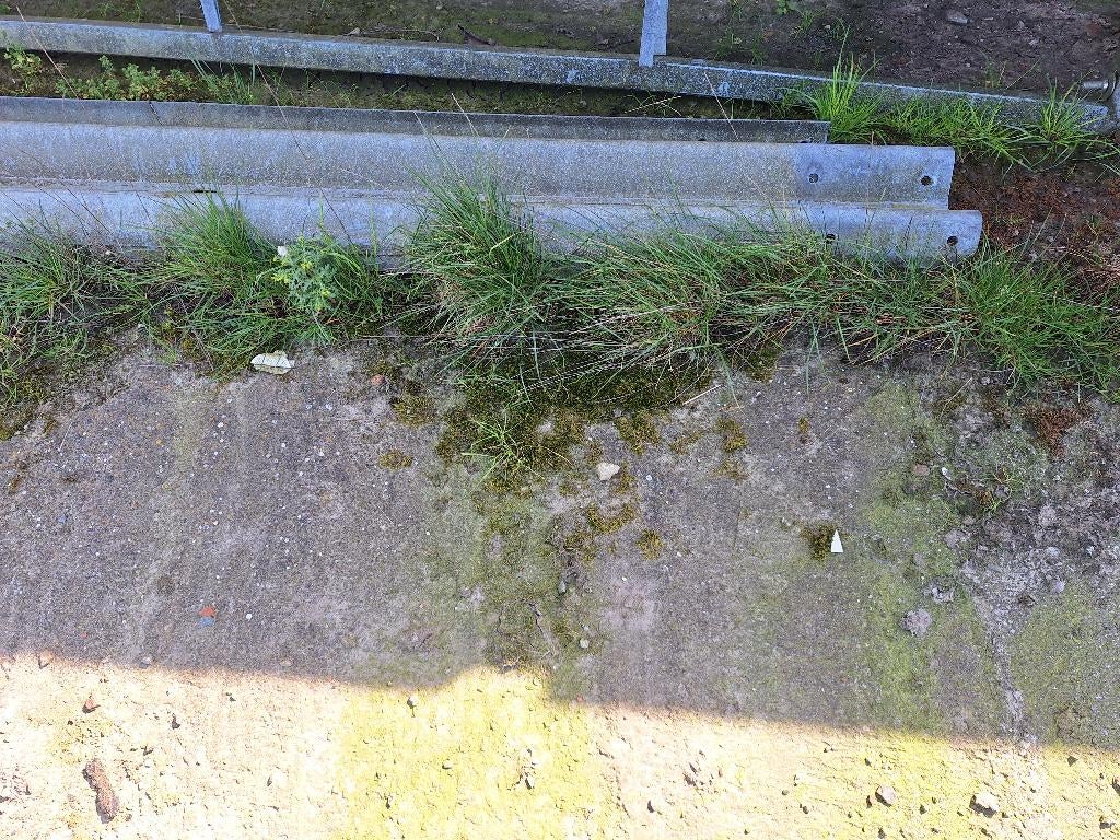 vangrails, Pâturage