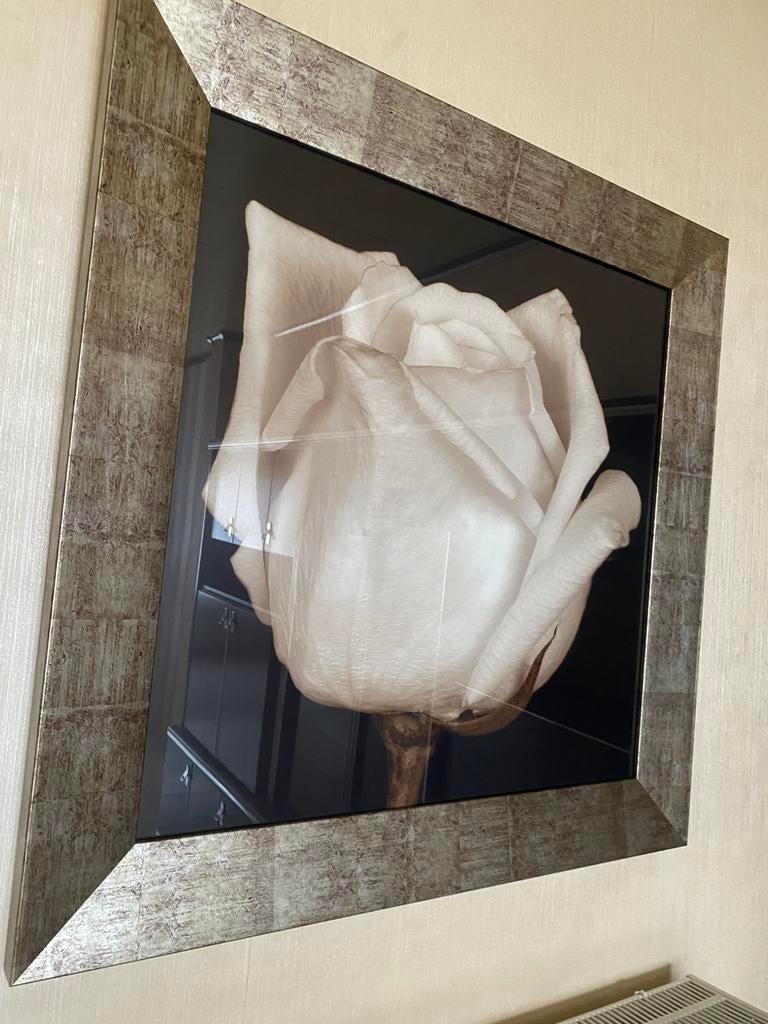 KADER ROOS 88x88 cm, Ophalen, Zo goed als nieuw