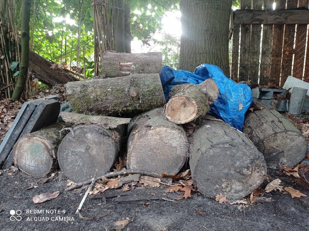 Brandhout Eik, Enlèvement