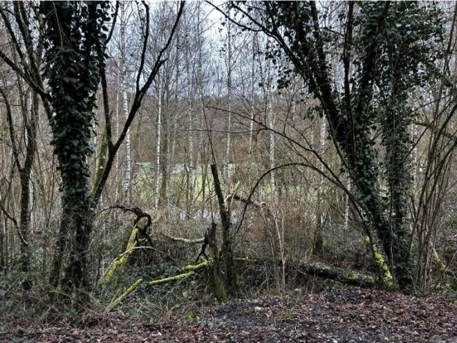 Bois de chauffage gratuit. Pour te faire appeler !, Enlèvement