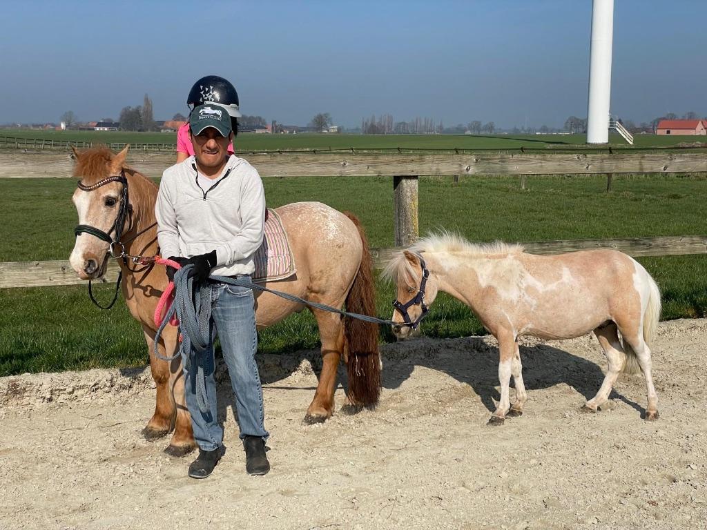 Mini paardje Falabella palomino heel klein, Dieren en Toebehoren, Hengst, Niet van toepassing, 3 tot 6 jaar