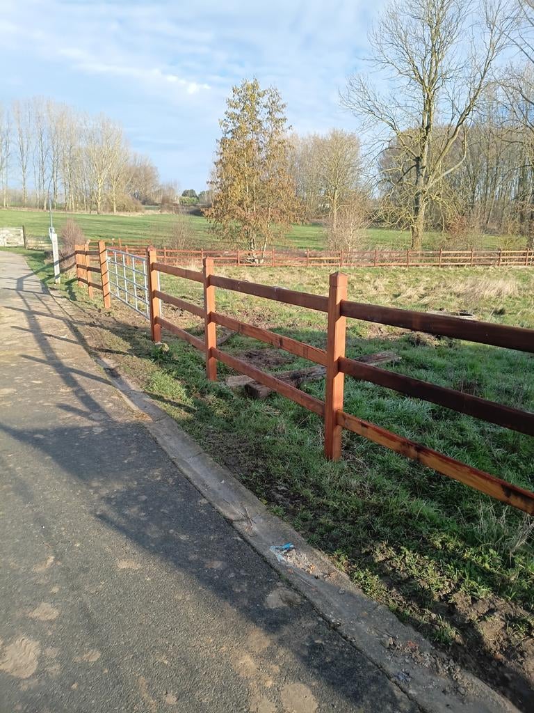 Fermetures de poche nationales, Moins de 160 cm, Plusieurs animaux, Avec pedigree, Ne s'applique pas