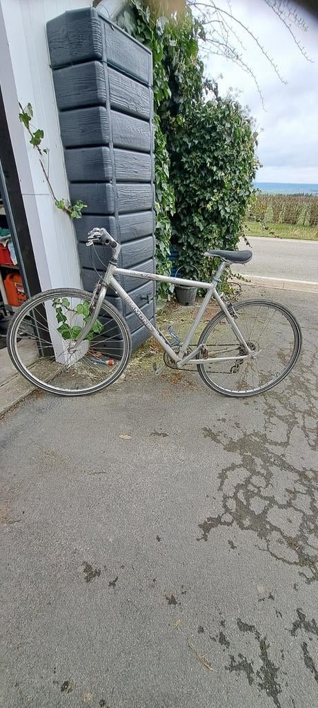 Velo Diamond Galaxy, Enlèvement