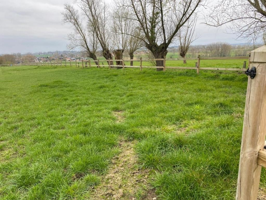 weide met schuilhok, Dieren en Toebehoren, Stalling en Weidegang, Weidegang, 1 paard of pony