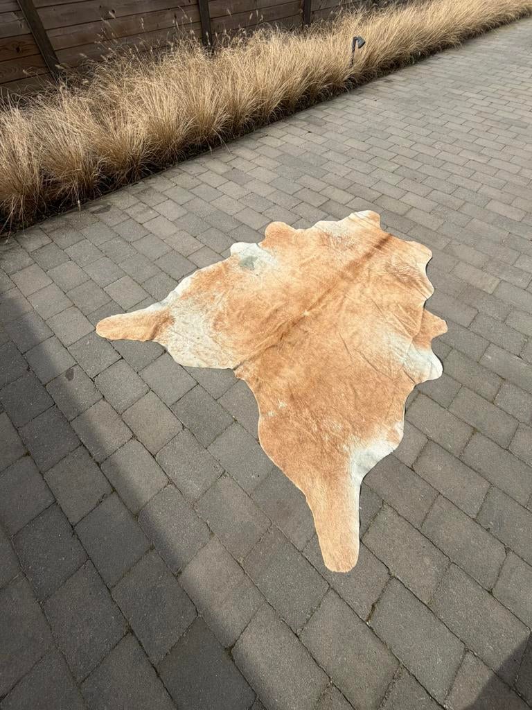 Koeienhuid tapijt, Enlèvement, Utilisé