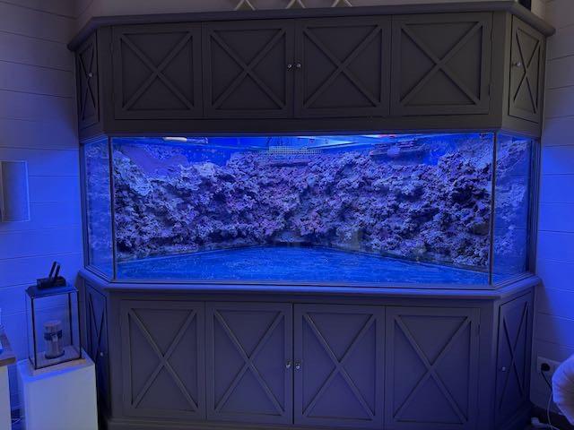 Exclusief hoekaquarium, Dieren en Toebehoren, Ophalen