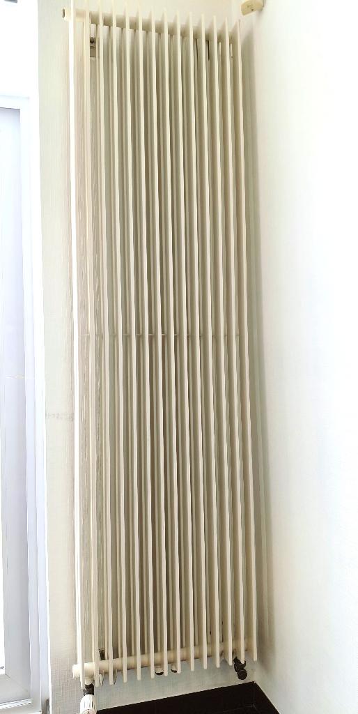 Radiateur à double design, 800 watts ou plus, Moins de 60 cm, Enlèvement, Utilisé