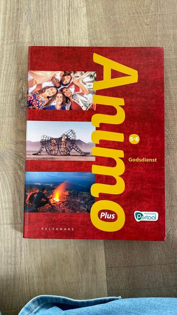 Animo plus (Godsdienst voor 5de en 6de middelbaar), Ophalen, Zo goed als nieuw, Godsdienst en Levensbeschouwing