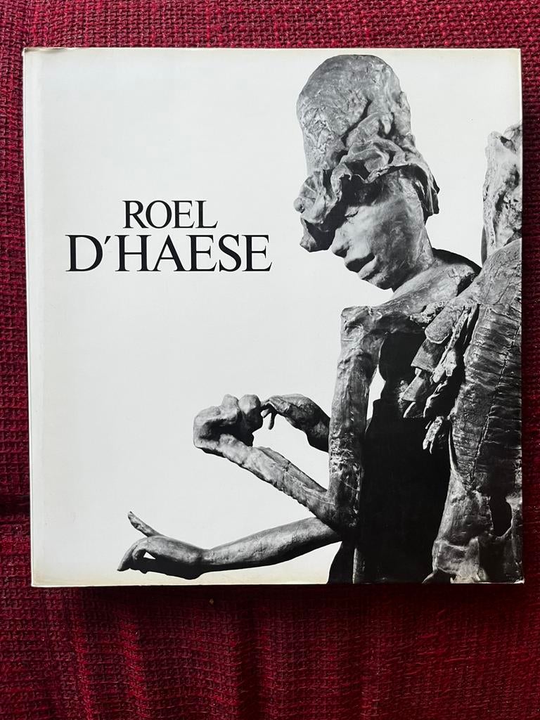 Boek kunst Roel D’Haese, Boeken, Kunst en Cultuur | Beeldend, Zo goed als nieuw, Beeldhouwkunst, Ophalen of Verzenden