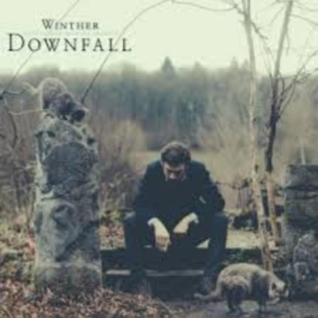 WINTHER with Szymon Brzoska quartet : Downfall, Enlèvement ou Envoi, 1980 à nos jours, Comme neuf, Jazz