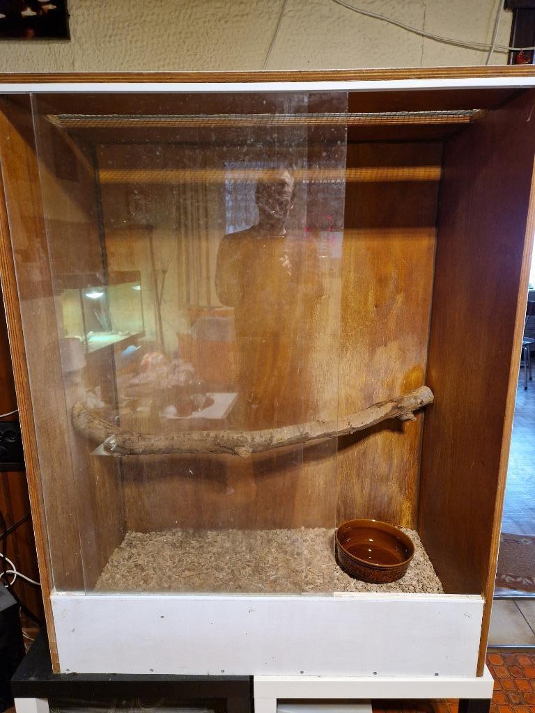 Terrarium en bois avec portes coulissantes en verre, Animaux & Accessoires, Enlèvement, Utilisé, Terrarium ou Paludarium