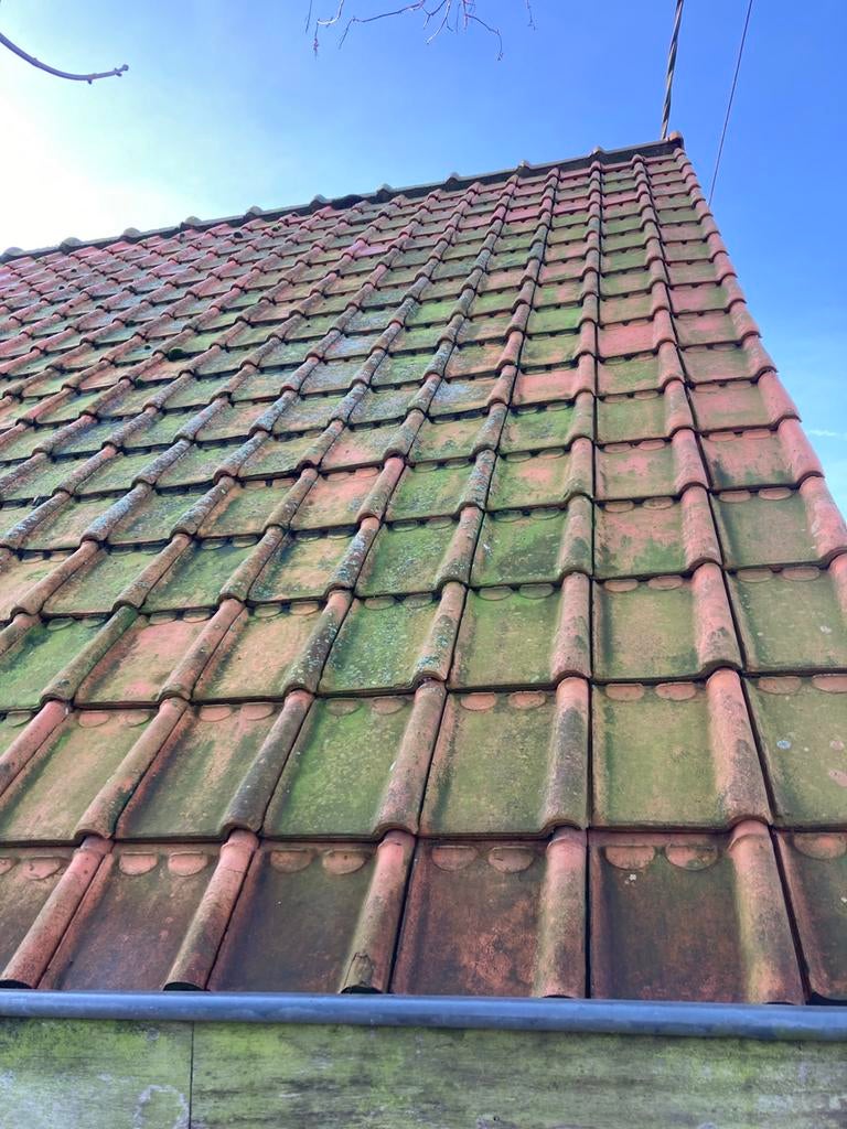 Franse pan sterreberg, Ophalen, Zo goed als nieuw