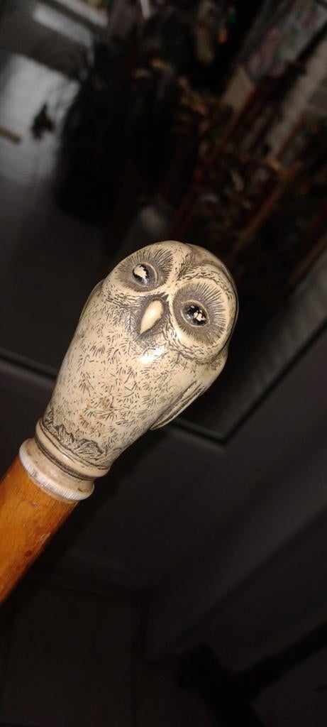 uil stok, Ophalen of Verzenden