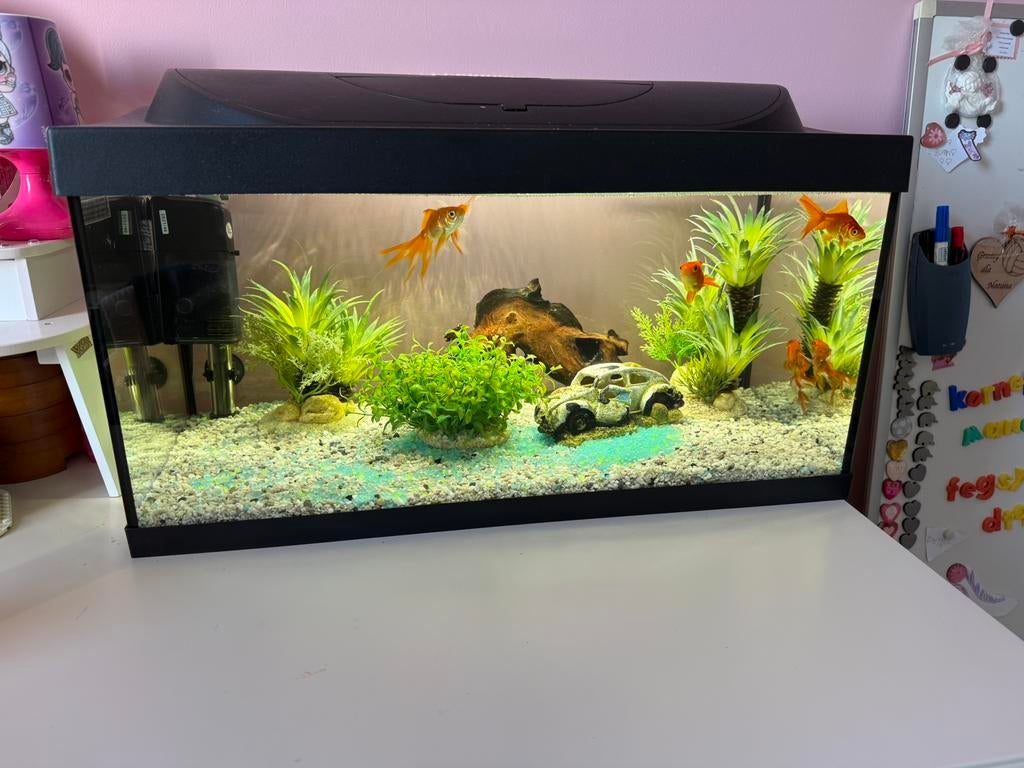 Mooie Complete Aquarium TETRA met alles bij, Ophalen, Zo goed als nieuw