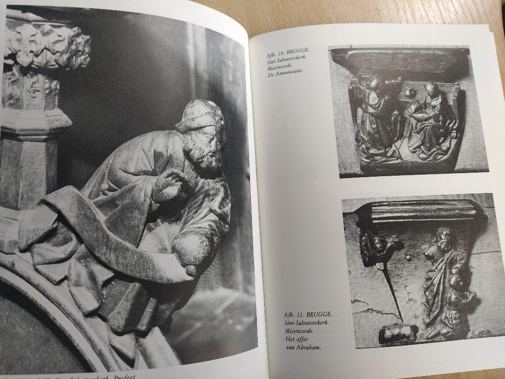 boek: koorgestoelten in West-Vlaanderen/Nadine Debergh, Ophalen of Verzenden, Gelezen