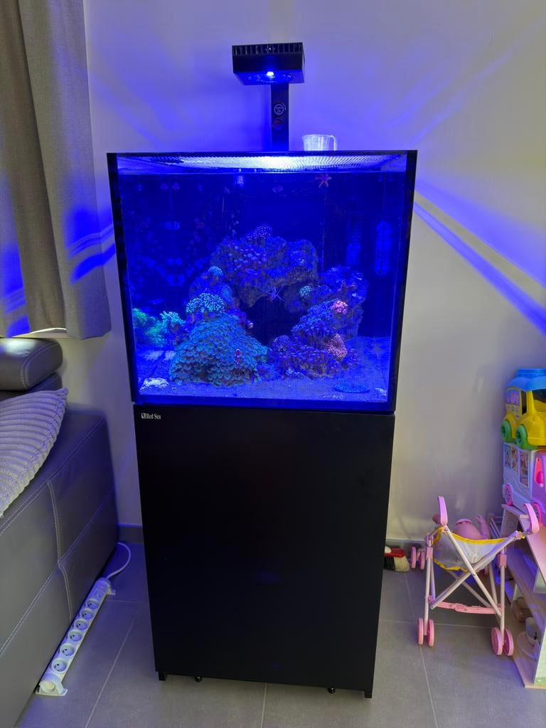 Compleet zeeaquarium Redsea reefer 200 XL, Dieren en Toebehoren, Vissen | Aquaria en Toebehoren, Ophalen, Gebruikt, Red Sea