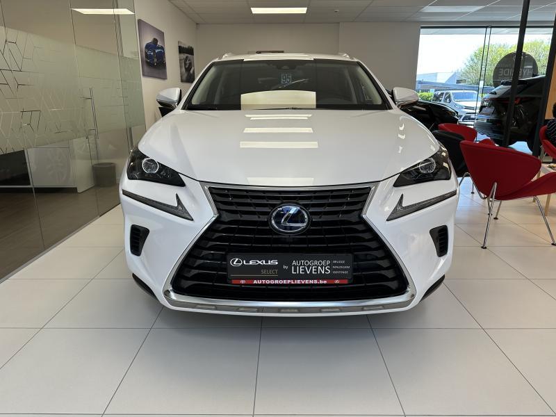 Lexus NX 300H 2.5 HYB NX300h EXECUTIVE LINE, Auto's, Lexus, 114 kW, Euro 6, 2494 cc, Wit