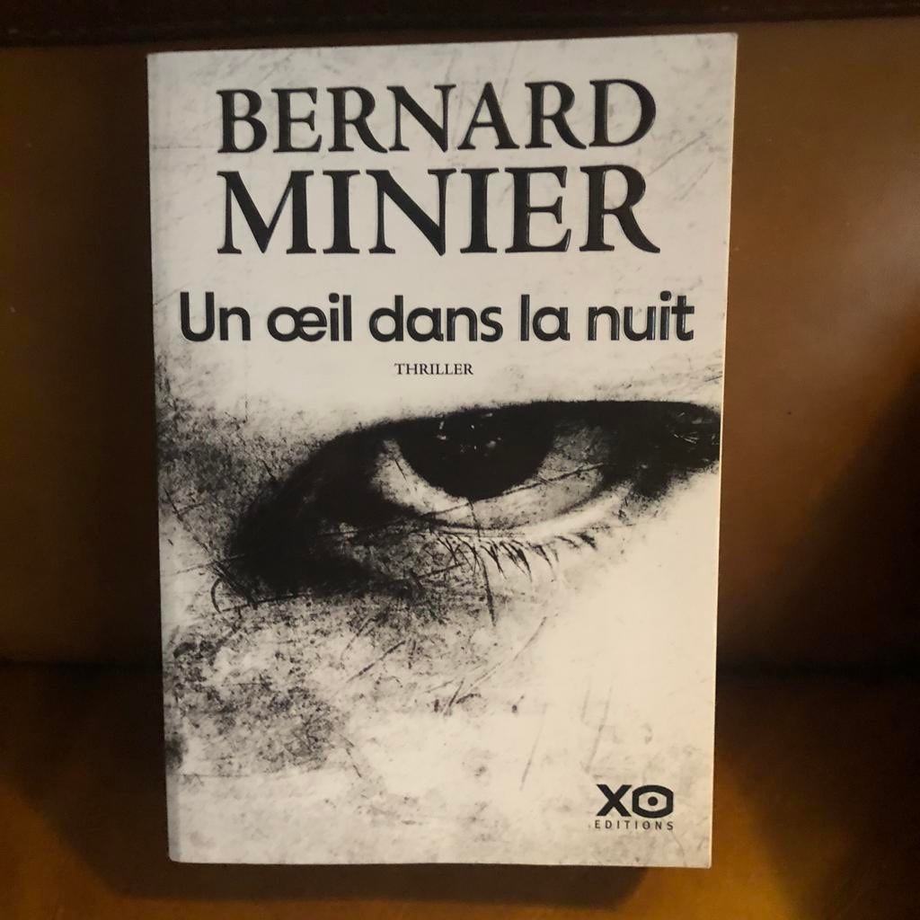 Bernard Minier - Un Oeil dans la Nuit, Enlèvement