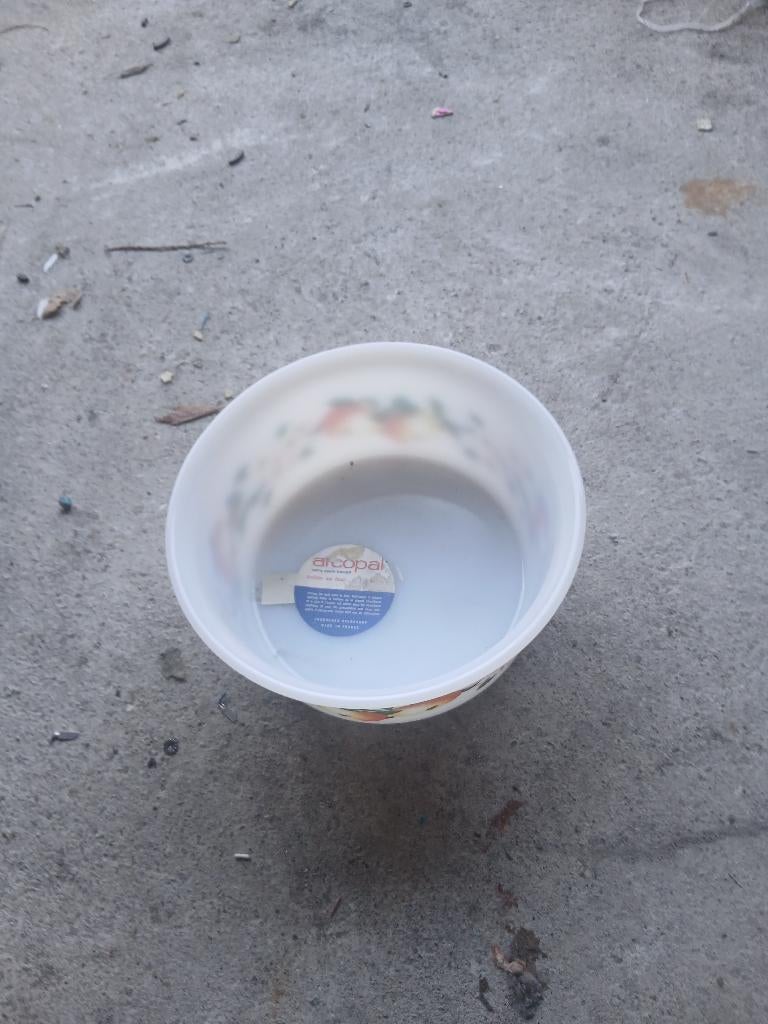 Arcopal, Maison & Meubles, Cuisine | Vaisselle, Enlèvement, Utilisé, Autres types, Autres matériaux