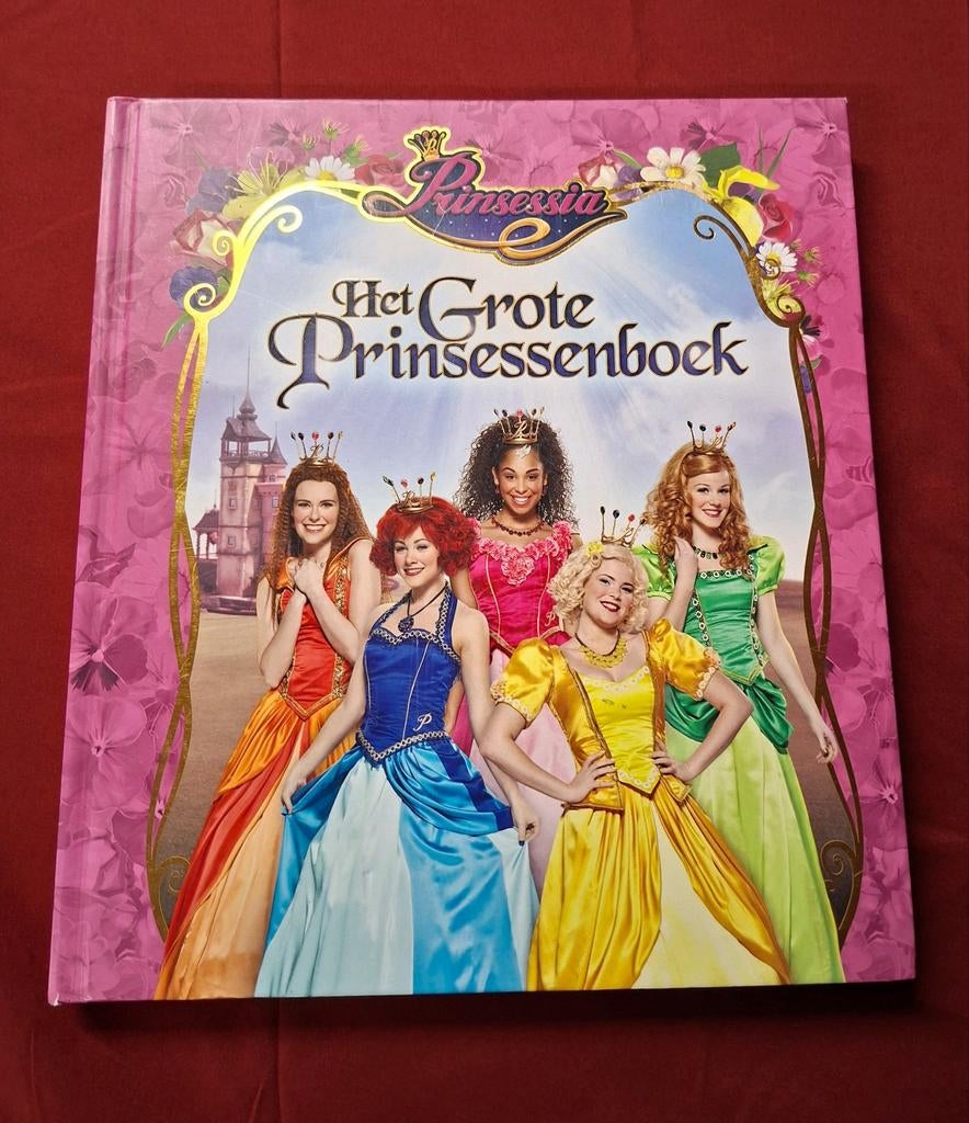 Boek studio 100 : het grote prinsessenboek, Ophalen of Verzenden