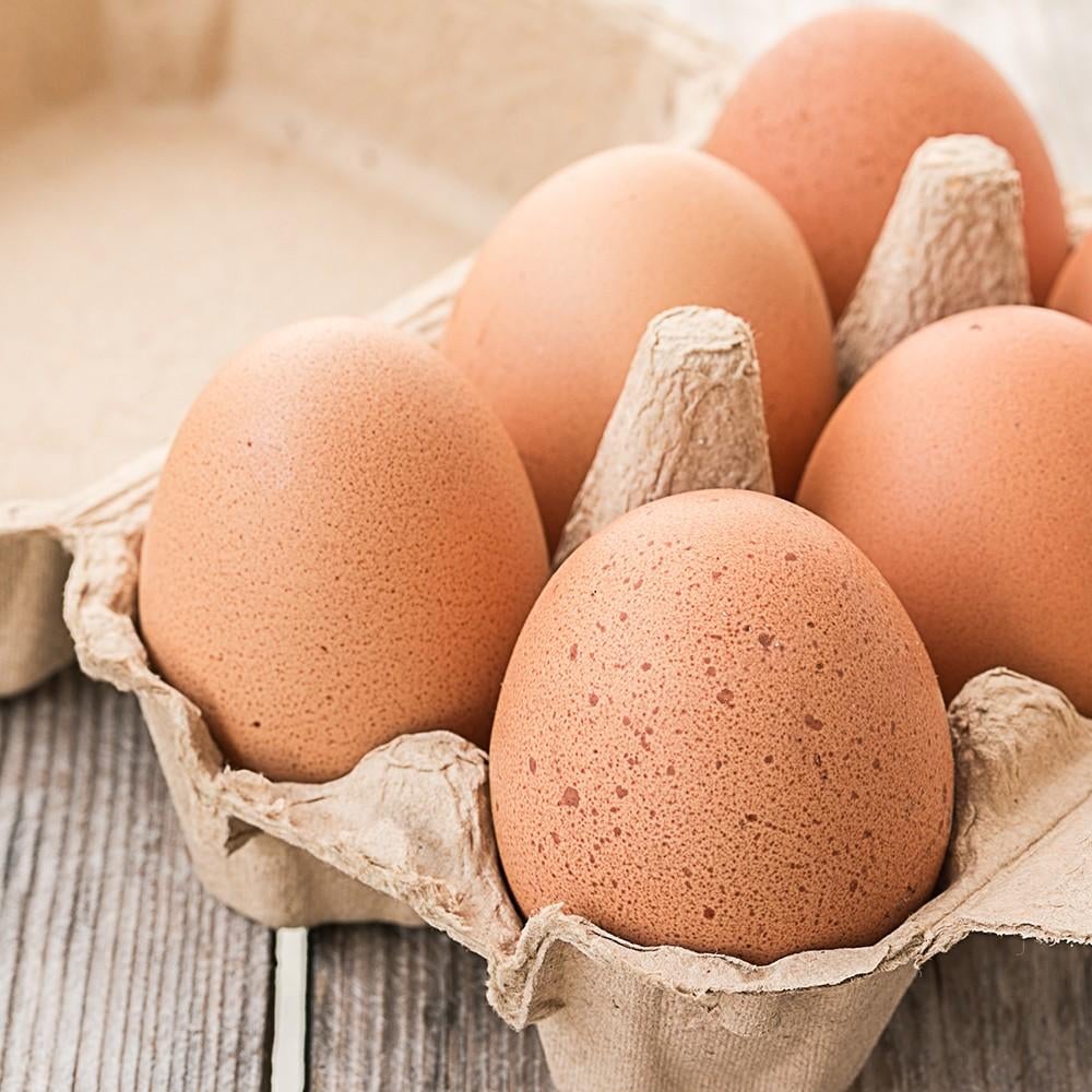 Verse vrije uitloopeieren, Ophalen