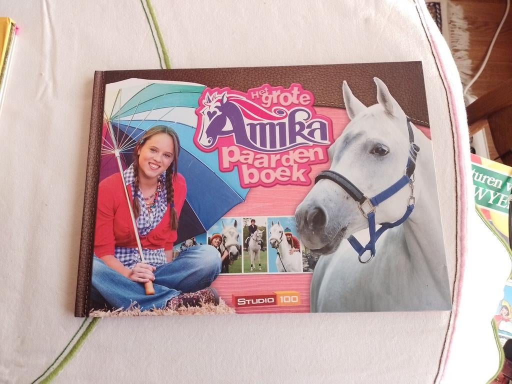 Het grote amika paarden boek, Ophalen of Verzenden, Zo goed als nieuw