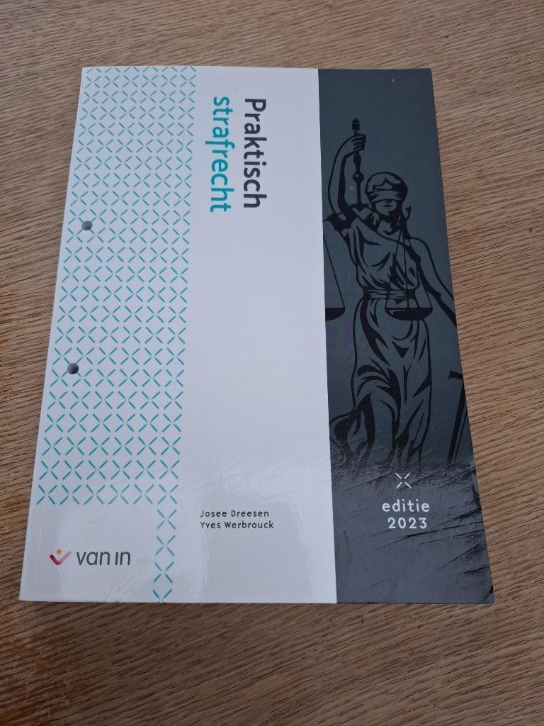 Handboek praktisch strafrecht, Boeken, Studieboeken en Cursussen, Ophalen of Verzenden, Nieuw, Hogeschool, Yves Werbrouck