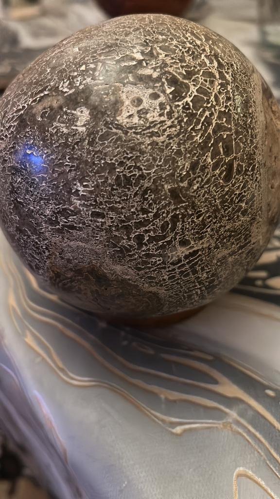 Boule en os de dinosaures Atlasaurus, Enlèvement ou Envoi, Fossile