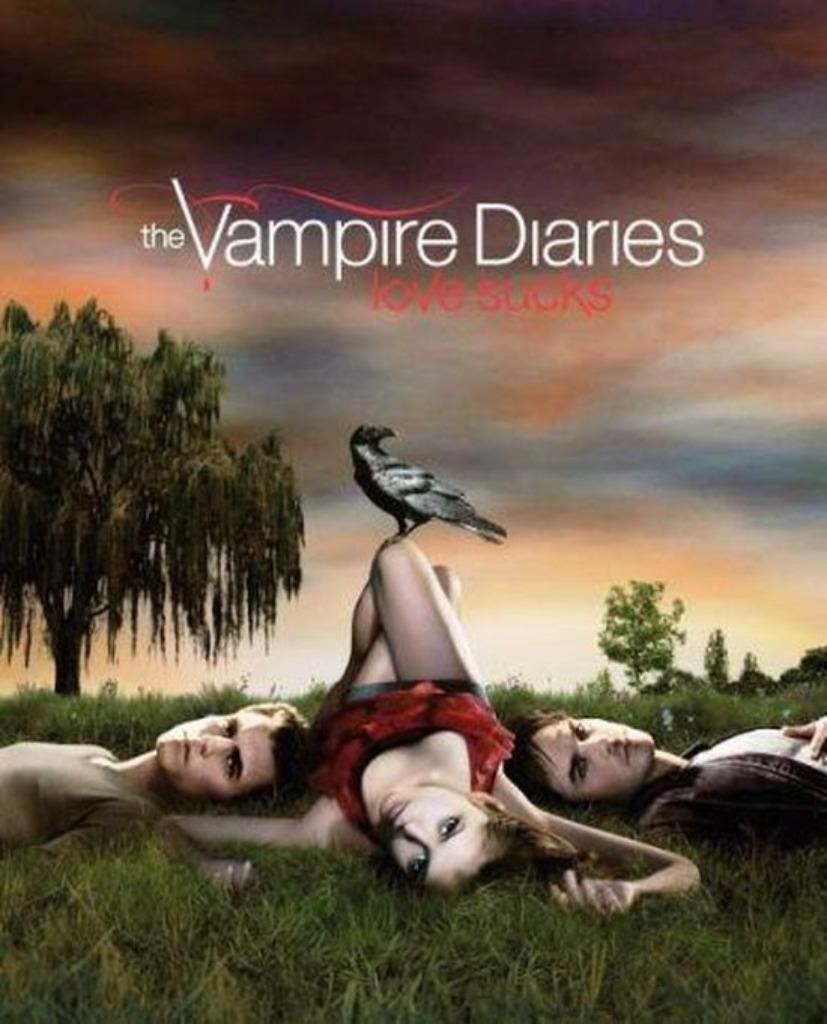 The Vampire Diaries seizoenen 1 t/m 8, Cd's en Dvd's, Dvd's | Tv en Series, Zo goed als nieuw, Drama, Boxset, Vanaf 12 jaar, Ophalen of Verzenden