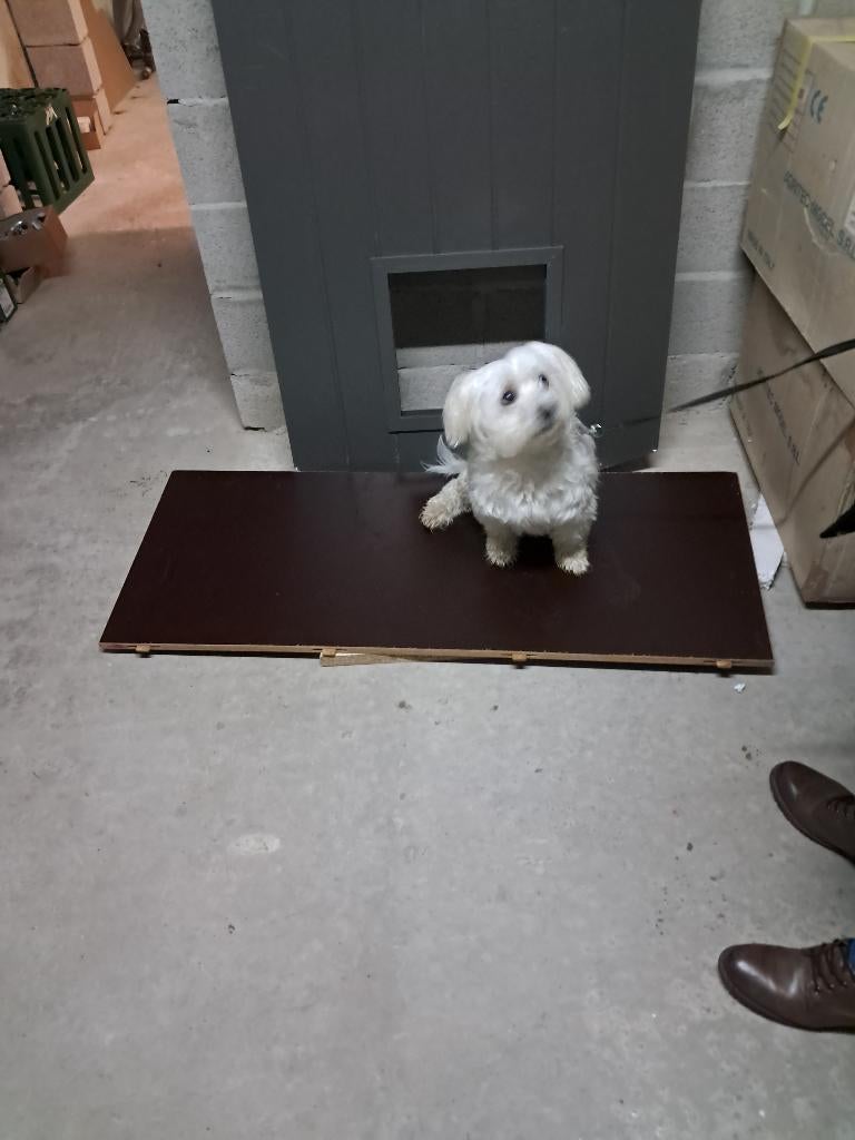 aluminium deur met opening voor hondenluik, Dieren en Toebehoren, Ophalen, Nieuw