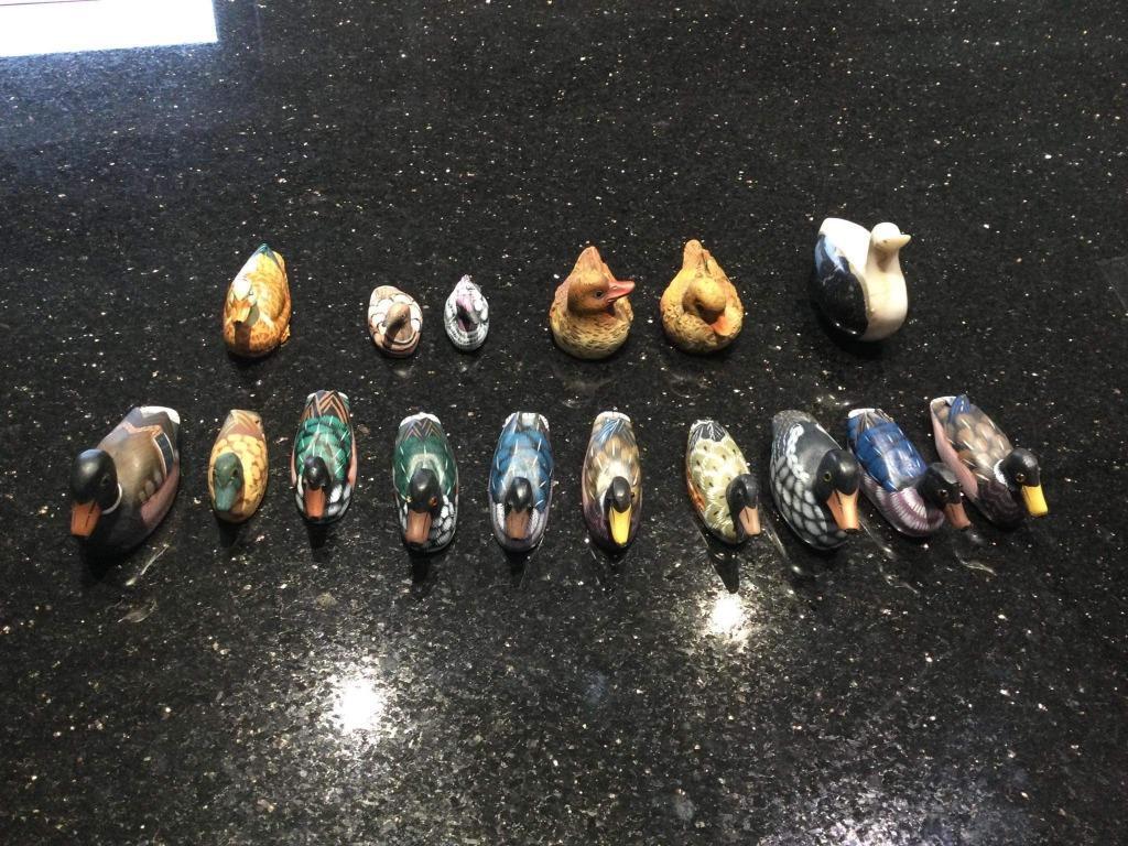 Divers Canards décoratifs, Collections, Enlèvement ou Envoi, Comme neuf, Animal