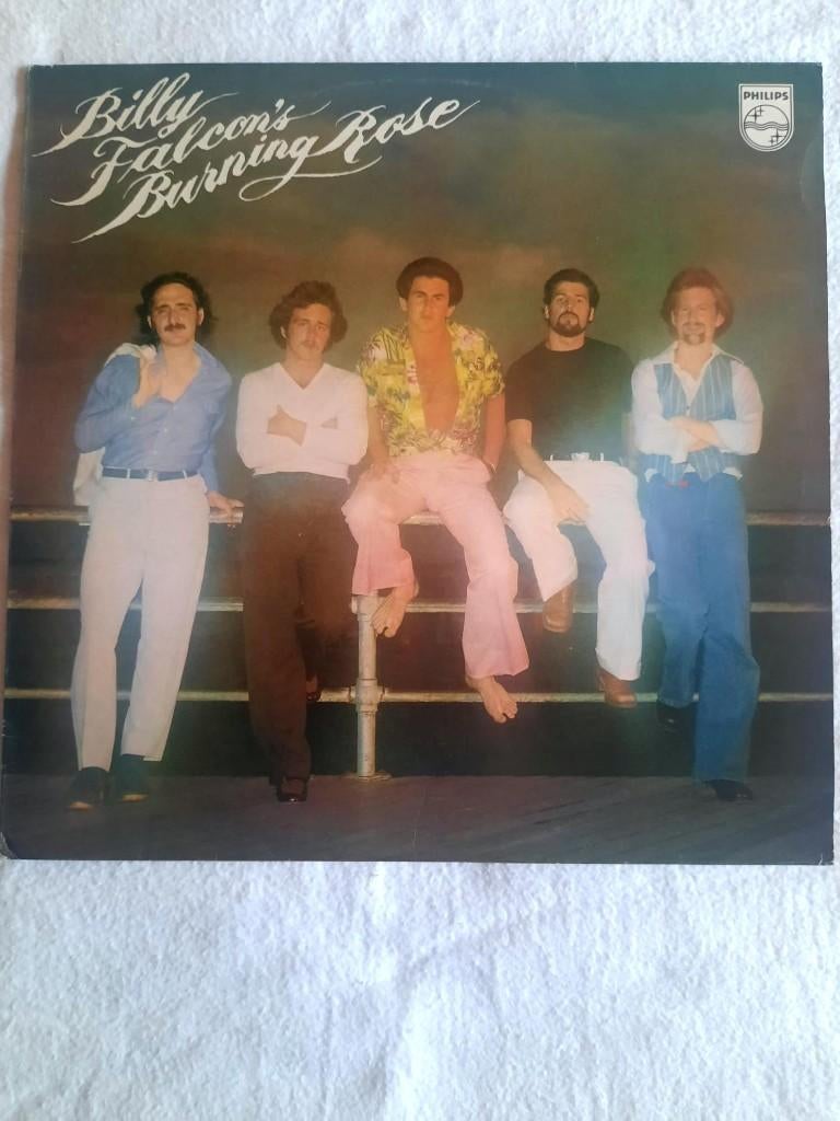 Billy Falcon - Burning Rose, CD & DVD, Vinyles | Autres Vinyles, Comme neuf, Enlèvement