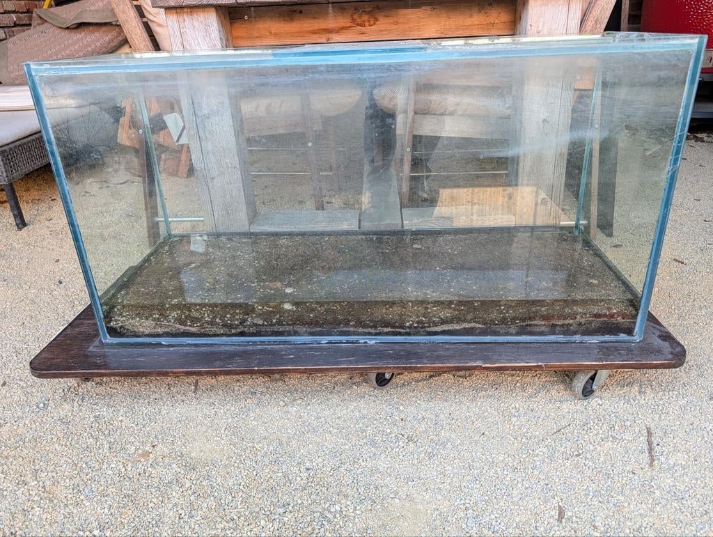 (groot) terrarium, Dieren en Toebehoren, Vissen | Aquaria en Toebehoren, Ophalen