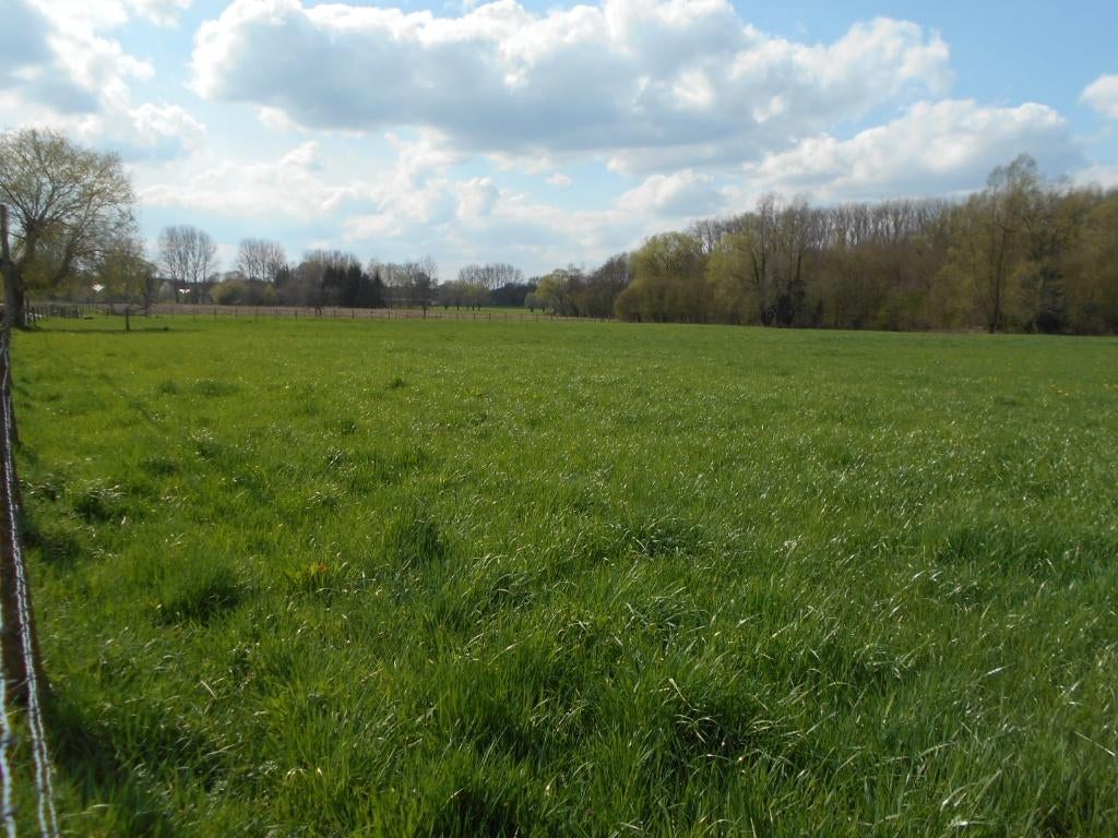 Weide / Landbouwgrond, Immo, Ternat, 1500 m² ou plus