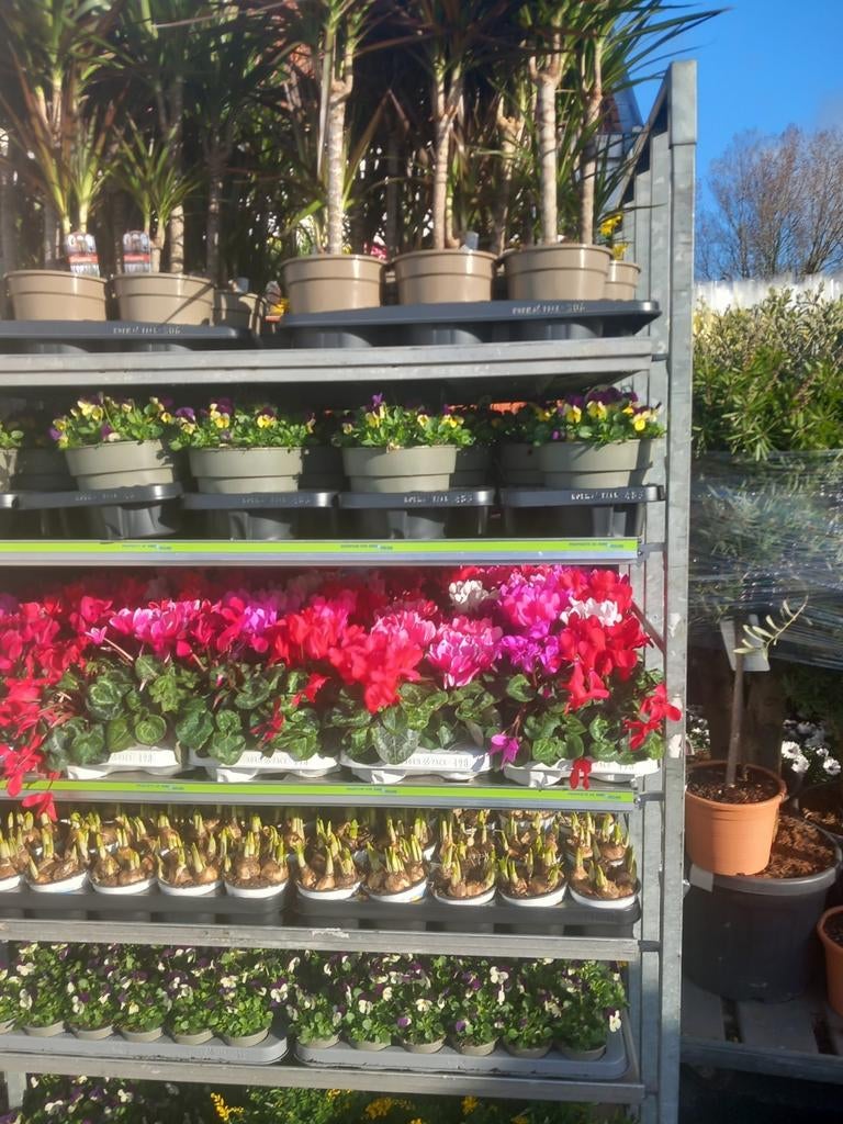 Qui recherche un revenu supplémentaire dans la région de De