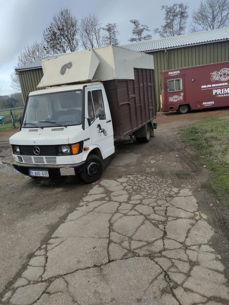 Paardenvrachtwagen Mercedes TN 410  Geschikt voor 2 paarden