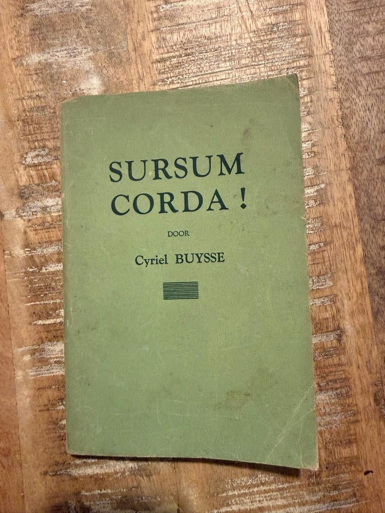 Sursum Corda! door Cyriel Buysse, Boeken, Romans, Gelezen, België, Ophalen of Verzenden