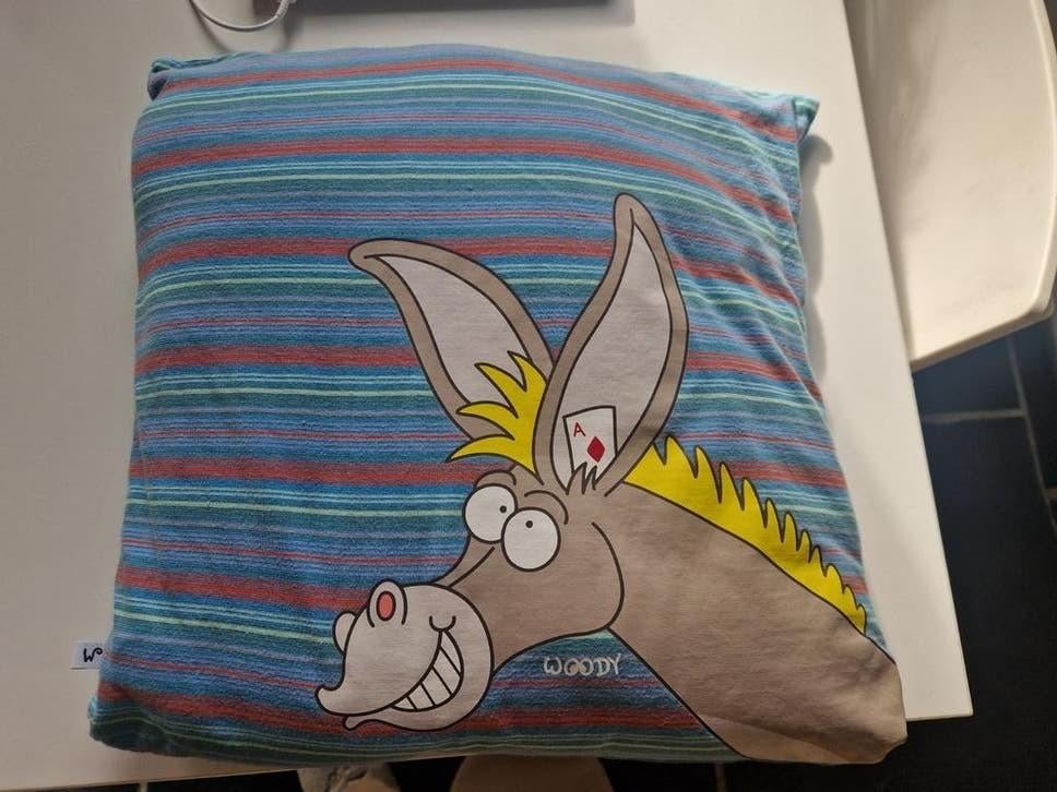 Sierkussentje Woody, Enfants & Bébés, Chambre d'enfant | Linge de lit, Oreiller, Garçon ou Fille, Comme neuf, Enlèvement