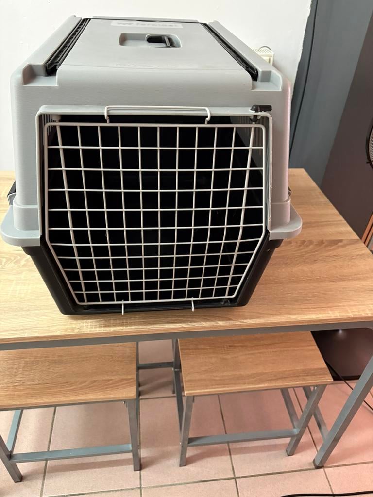 Cage de transport pour chien ou chat, Enlèvement, Comme neuf