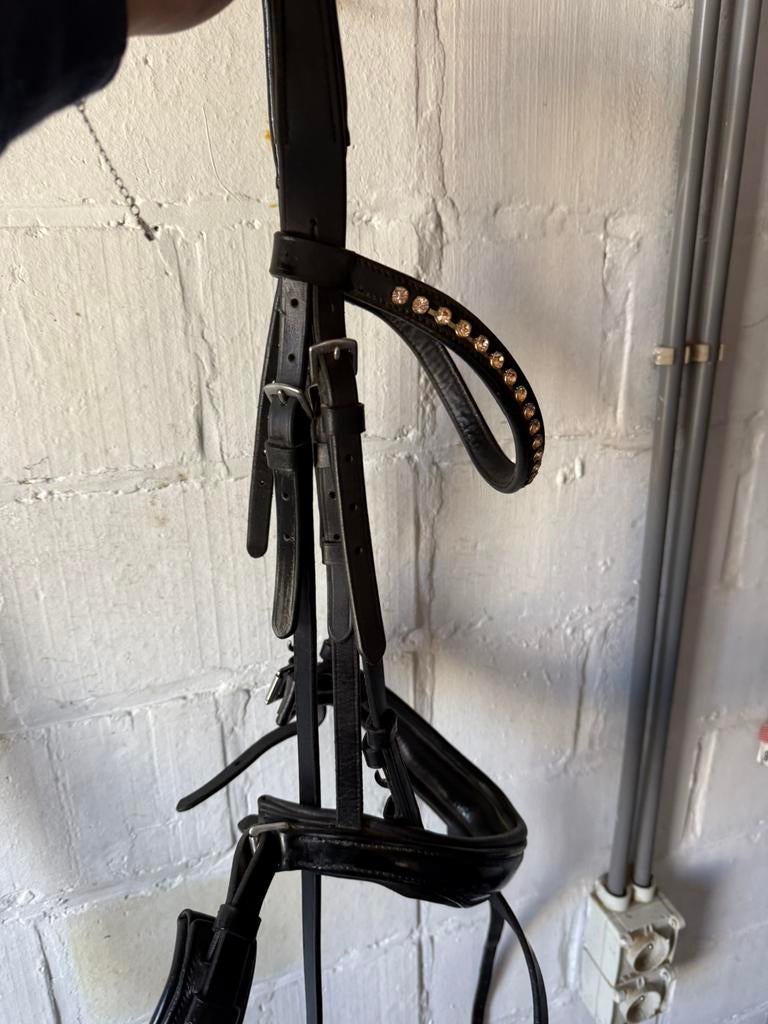 Hoofdstel, Dieren en Toebehoren, Ophalen, Zo goed als nieuw