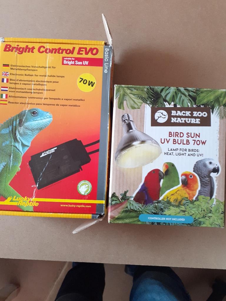 lampe UV pour reptiles et oiseaux, Animaux & Accessoires, Enlèvement, Neuf, Éclairage