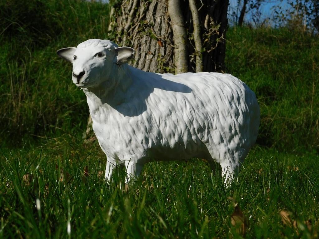 Beeld Schaap - 45 cm - Polystone, Verzamelen, Ophalen of Verzenden