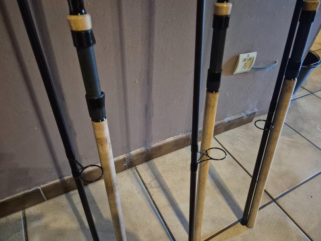 Cannes a carpes 13pieds 3.5lb, Enlèvement, Neuf, Canne à lancer