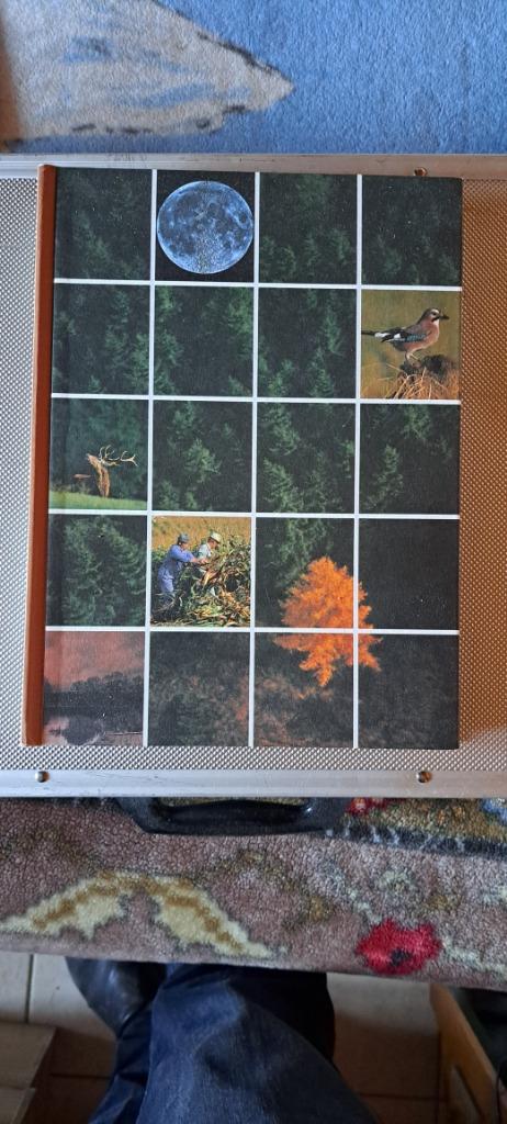 Artis historia de herfst, Boeken, Prentenboeken en Plaatjesalbums, Ophalen of Verzenden