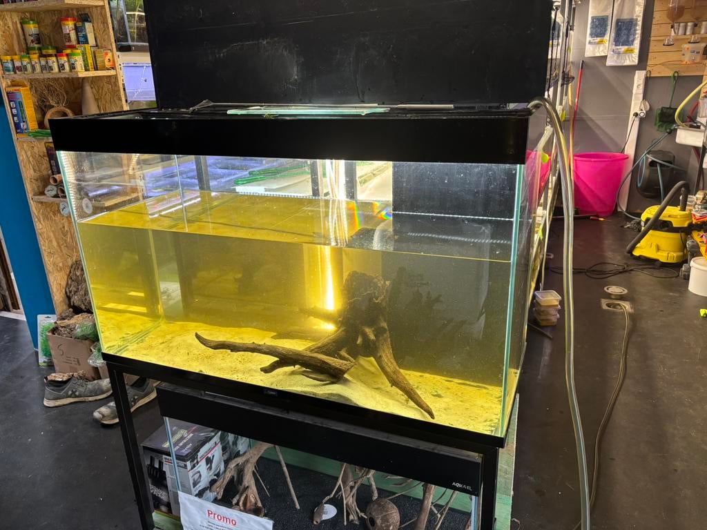 Aquarium ciano, Animaux & Accessoires, Enlèvement