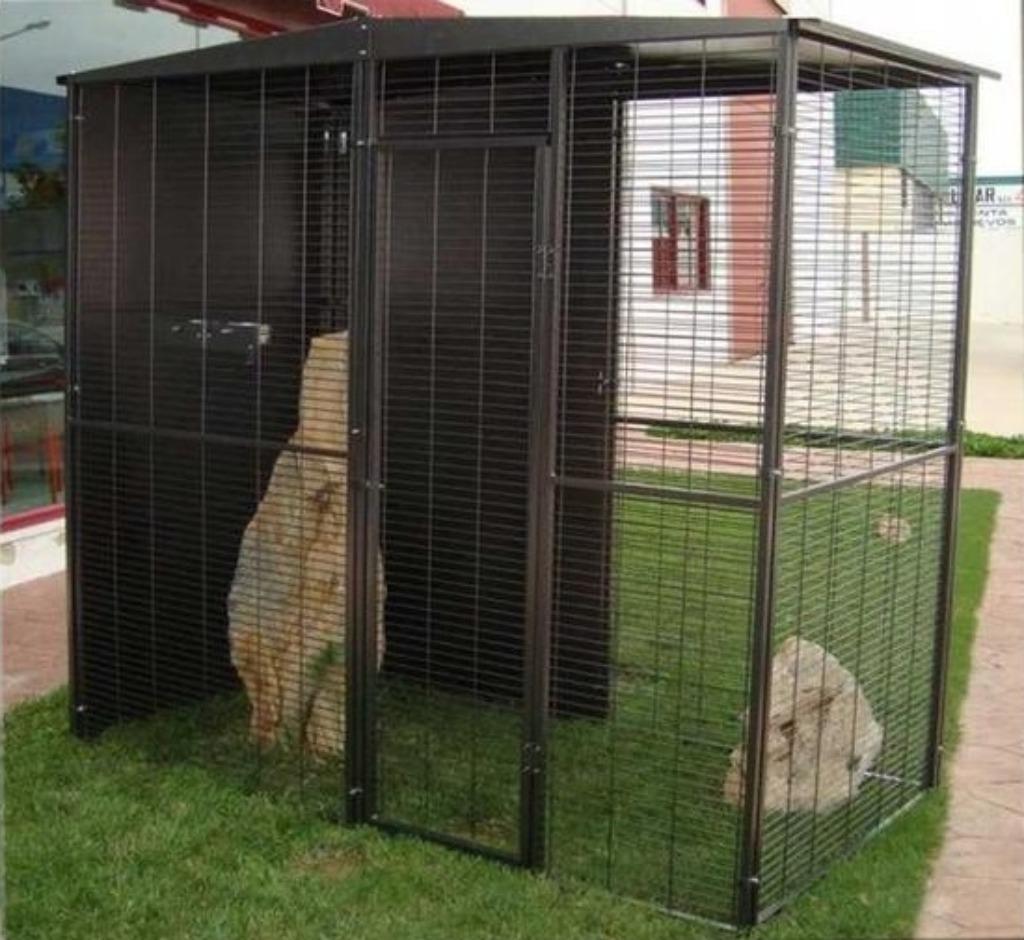 Volière de jardin 2x1x2 m cage ara cage perroquet amazon, Animaux & Accessoires, Envoi, Neuf, Métal, Volière
