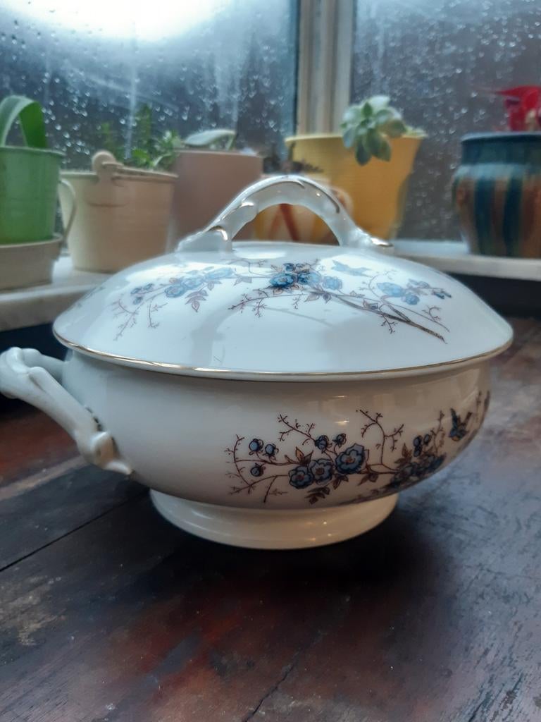 Baudour, terrine, Enlèvement ou Envoi