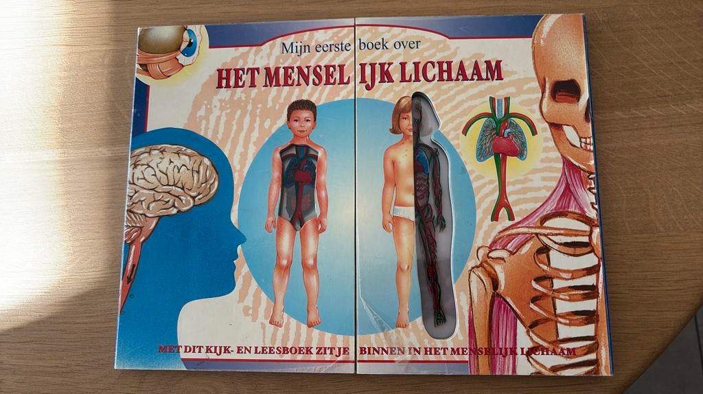 Mijn eerste boek over het menselijk lichaam, Boeken, Gelezen, 5 of 6 jaar, Uitklapboek, Jongen of Meisje