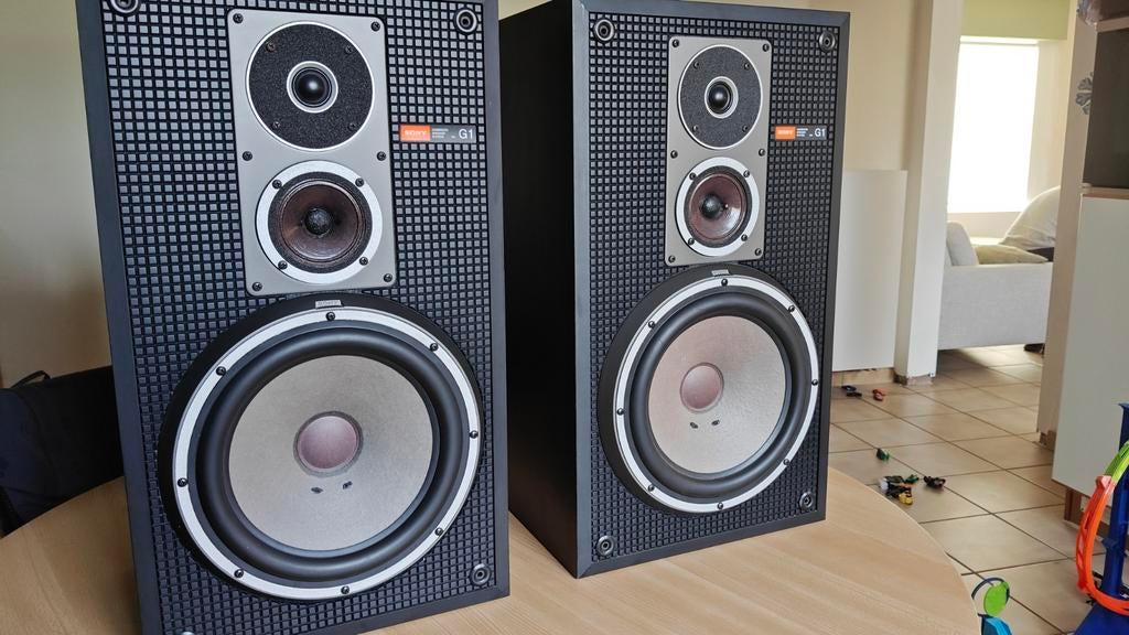 SONY SS-G1 MK2, Enlèvement, Sony