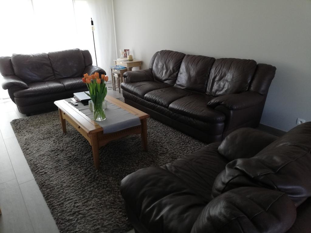 Mooi lederen salon,, Ophalen, Gebruikt, Leer